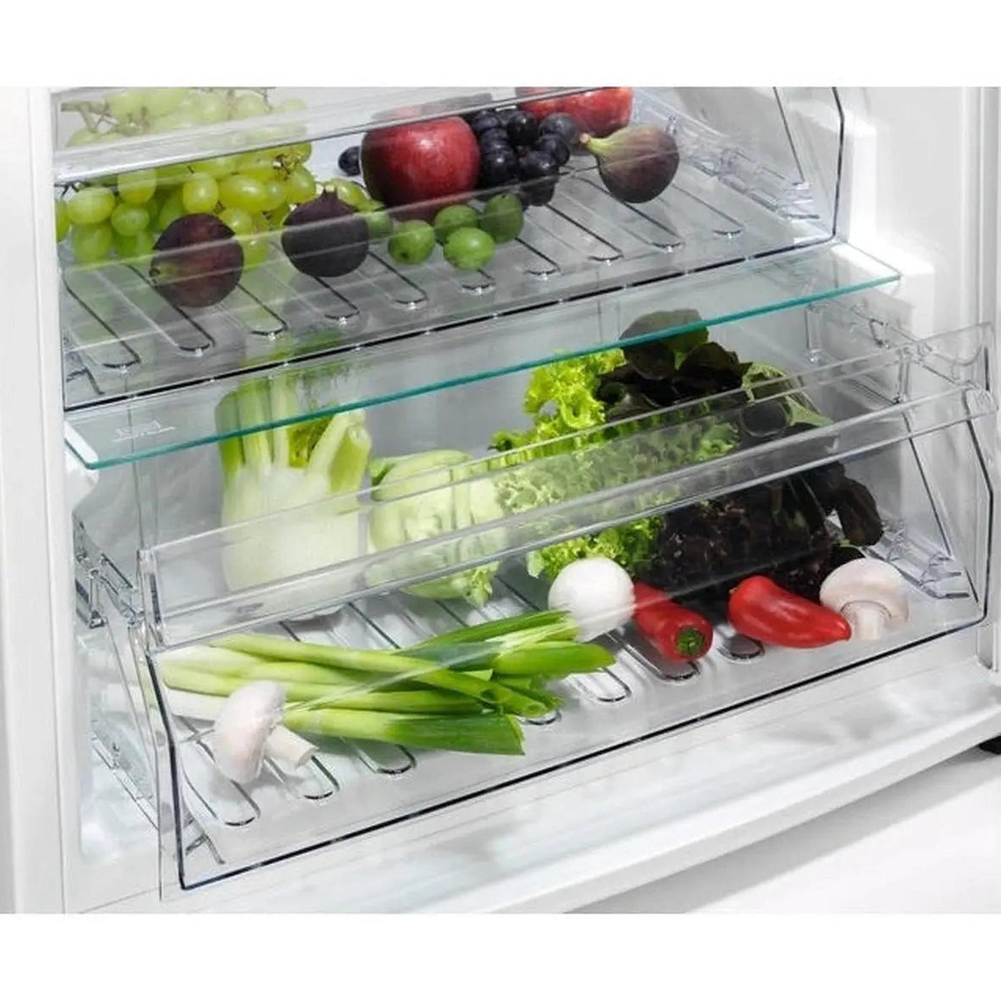 AEG_RKB439F1DX_Koelkast_5