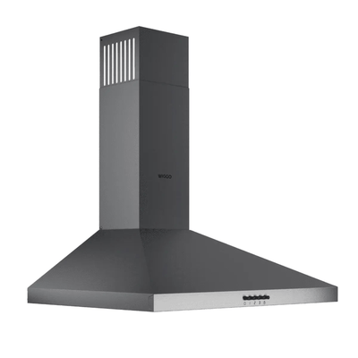 Wiggo WE-A630P G - Wandschouw Afzuigkap