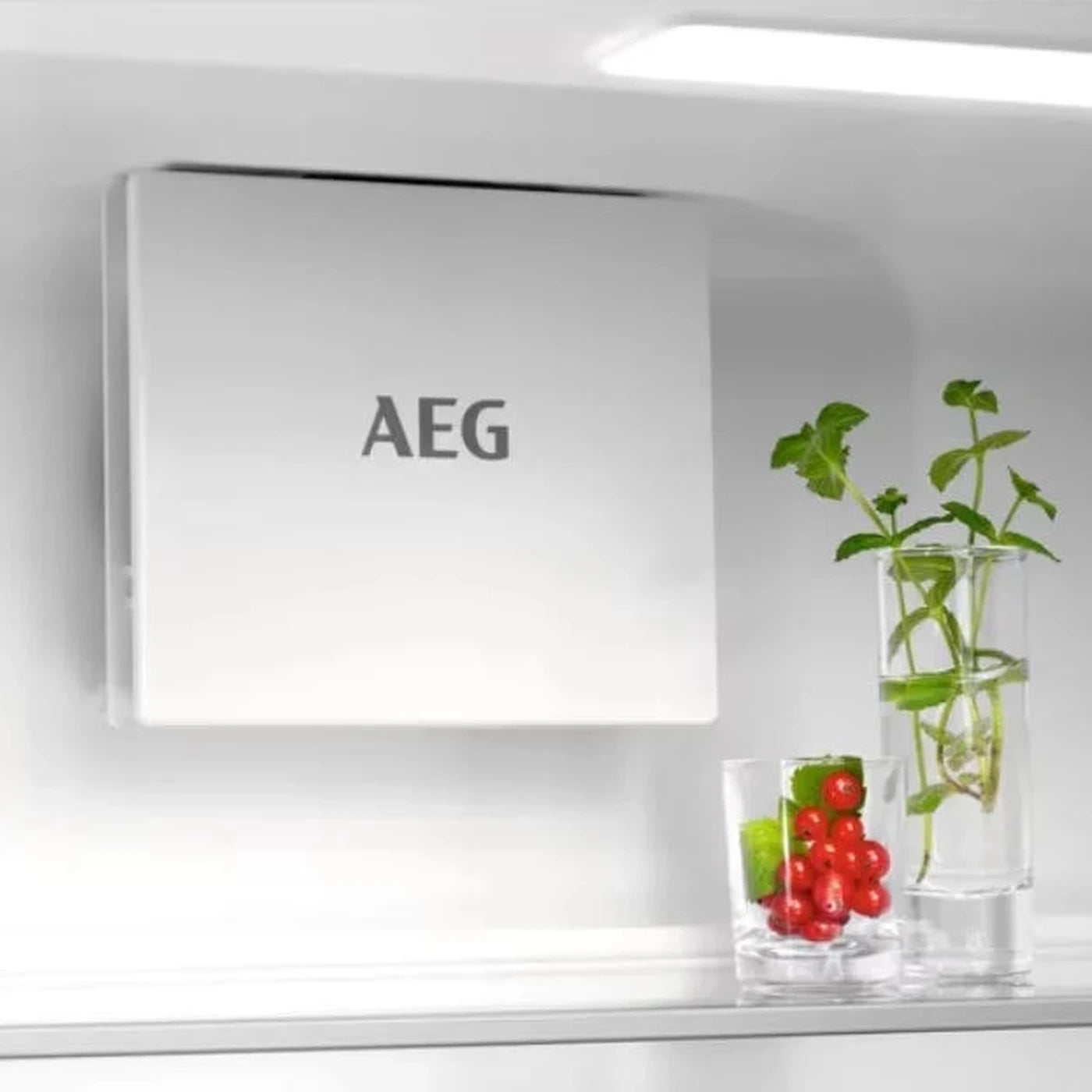 AEG_OSC7G181ES_Koelkast_8