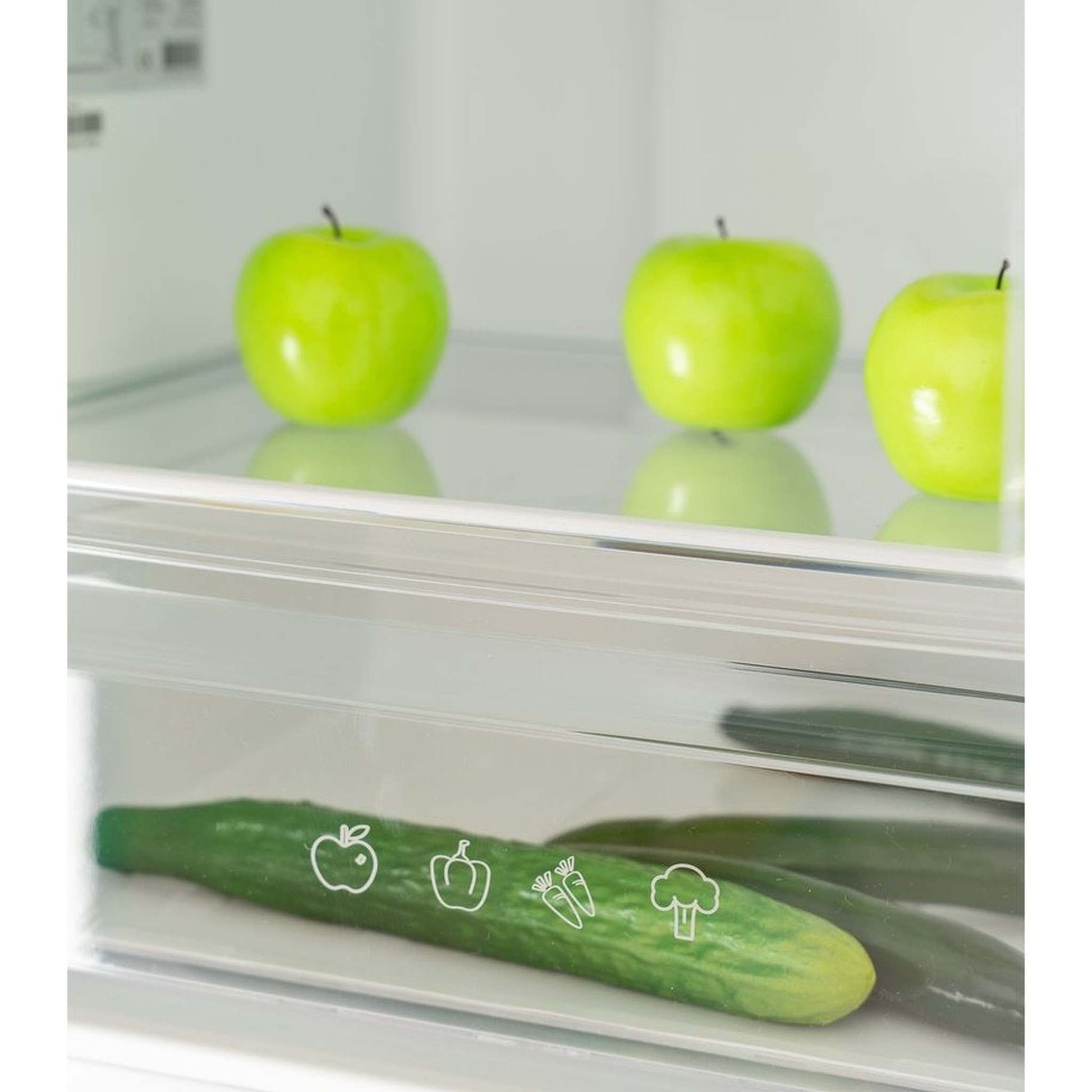 Exquisit KGC295-80-NF-041EB – Koelkast – Vrijstaand – Energiezuinig – 4-sterren vriesvak