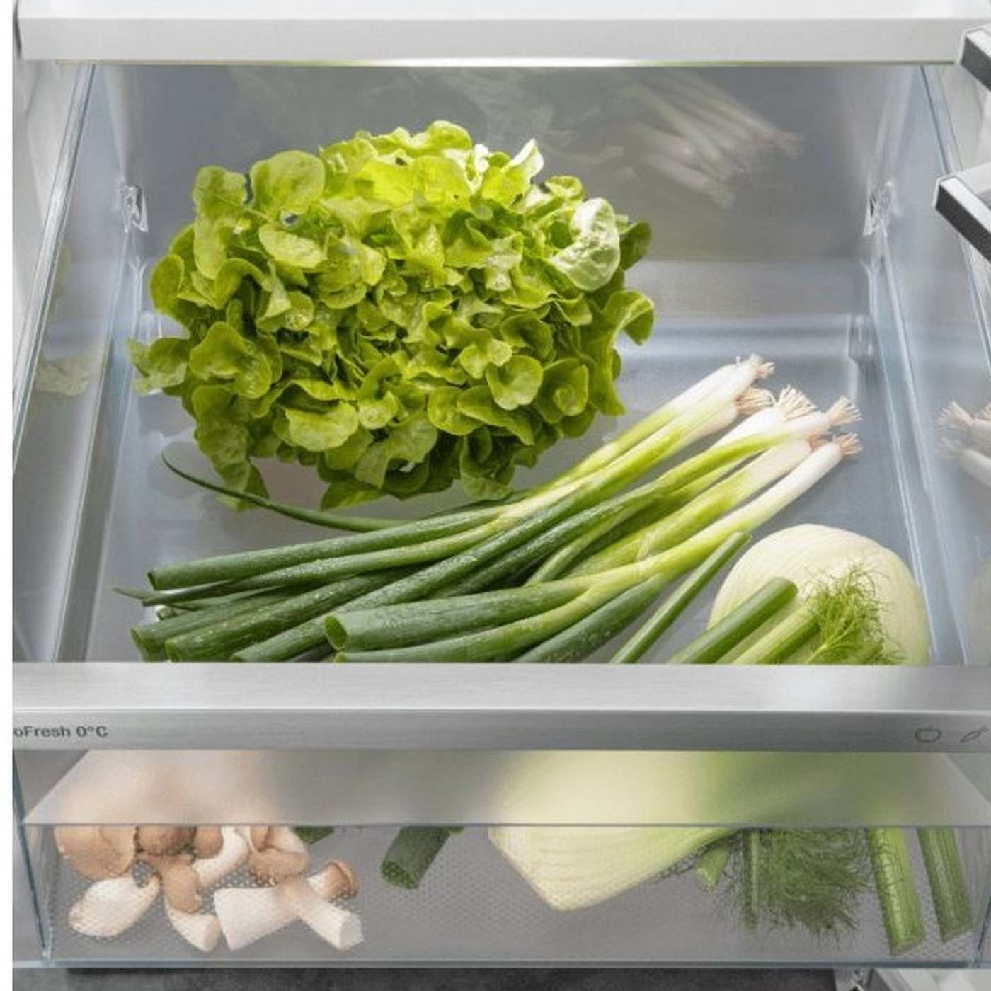 Liebherr_srbsdd-5250-20_Koelkast_6